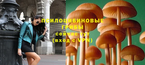 кокс Пересвет
